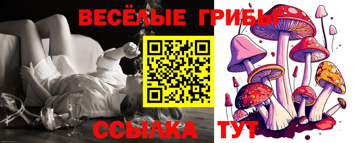 Галлюциногенные грибы Psilocybine cubensis  Псилоцибиновые грибы Magic Shrooms  Гай  где продают наркотики  Вход с VPN 